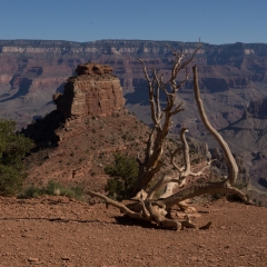 South Kaibab Trail