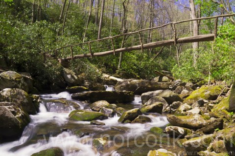 Bridge to Ramsey Falls