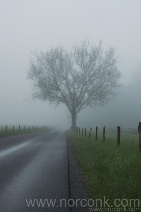 Cades Cove