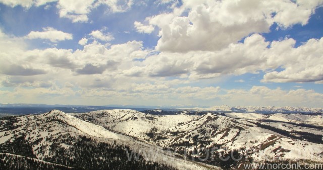 Mt. Washburn View