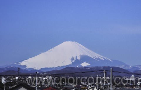 Mt. Fuji