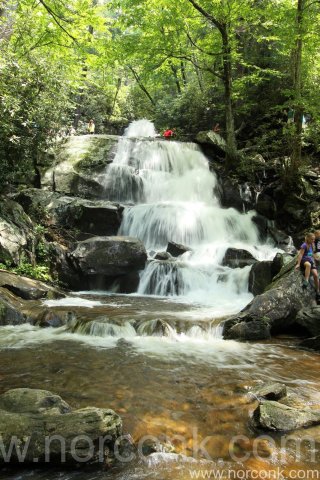 Laurel Falls