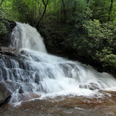 Laurel Falls Top