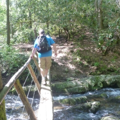 Bridge to Abrams Falls