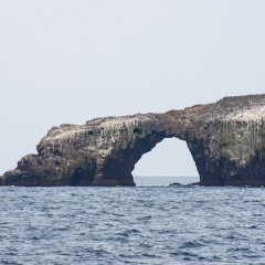 Anacapa