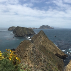 Anacapa