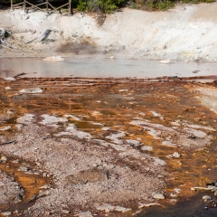 Echinus Geyser