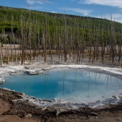 Cistern Spring