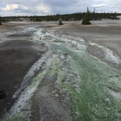 Norris Basin