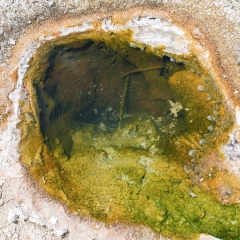 West Thumb Geyser Basin