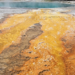 West Thumb Geyser Basin