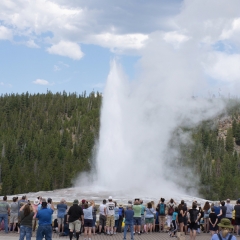 Old Faithful