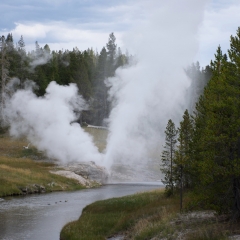 Riverside Geyser