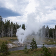 Riverside Geyser