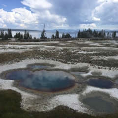 West Thumb Geyser Basin