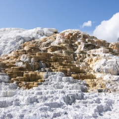 Mammoth Hot Springs