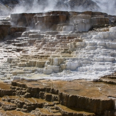 Mammoth Hot Springs