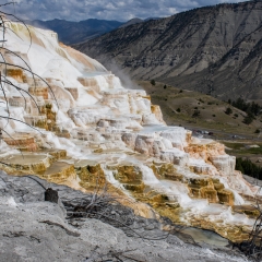 Mammoth Hot Springs