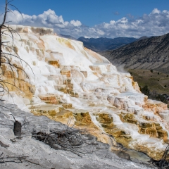 Mammoth Hot Springs