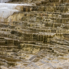 Mammoth Hot Springs