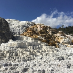 Mammoth Hot Springs