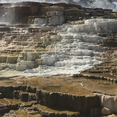 Mammoth Hot Springs