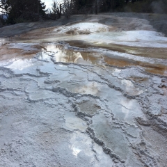 Mammoth Hot Springs