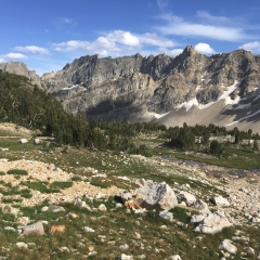 Paintbrush Canyon