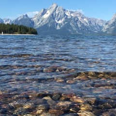 Teton