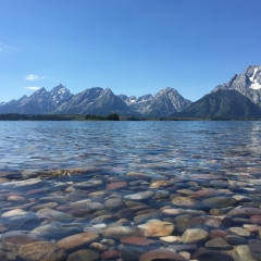 Teton