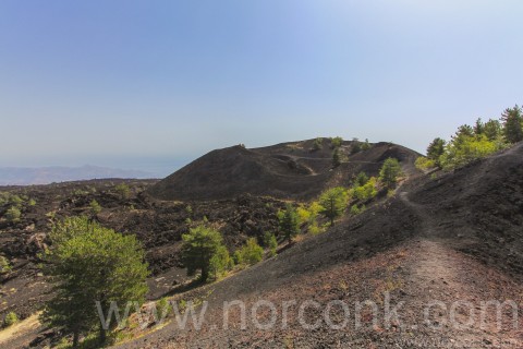 Mt. Etna Foothills