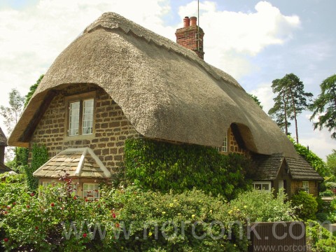 Thatched Roof