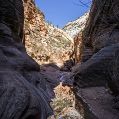 Observation Point Trail