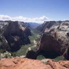 Observation Point