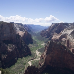 Observation Point