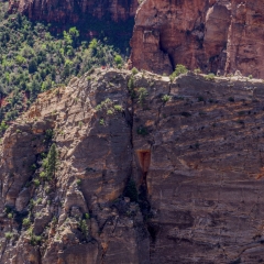 Observation Point