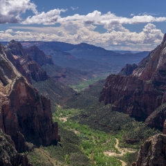 Observation Point