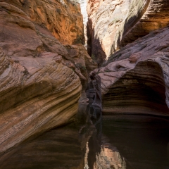 Observation Point Trail