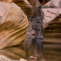 Observation Point Trail