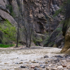 Zion Narrows