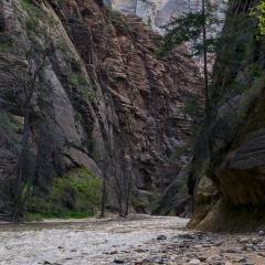 Zion Narrows