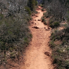 Observation Point Trail