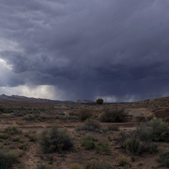 Burro Wash Trailhead