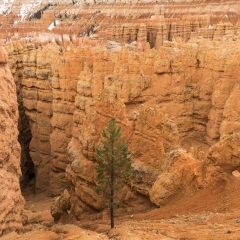 Bryce Canyon