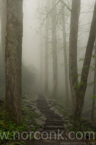 Chimneys Trail