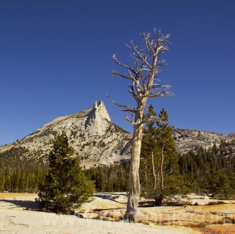 Cathedral Peak