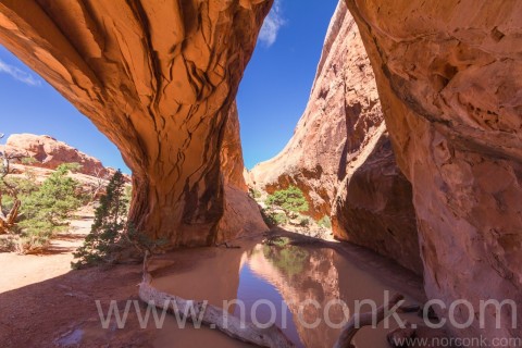 Navajo Arch