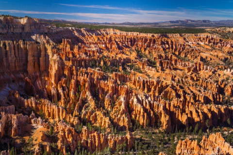 Bryce Hoodoos