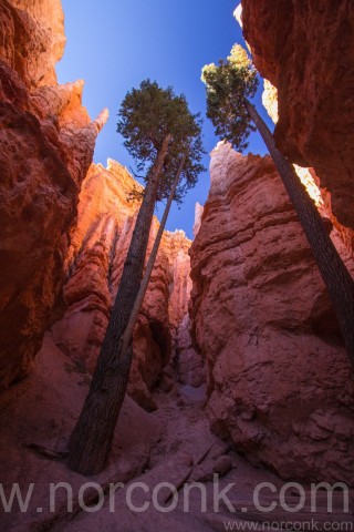 Bryce Canyon