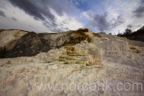 Mammoth Hot Springs